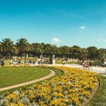 3-facts-about-landscaping_featured