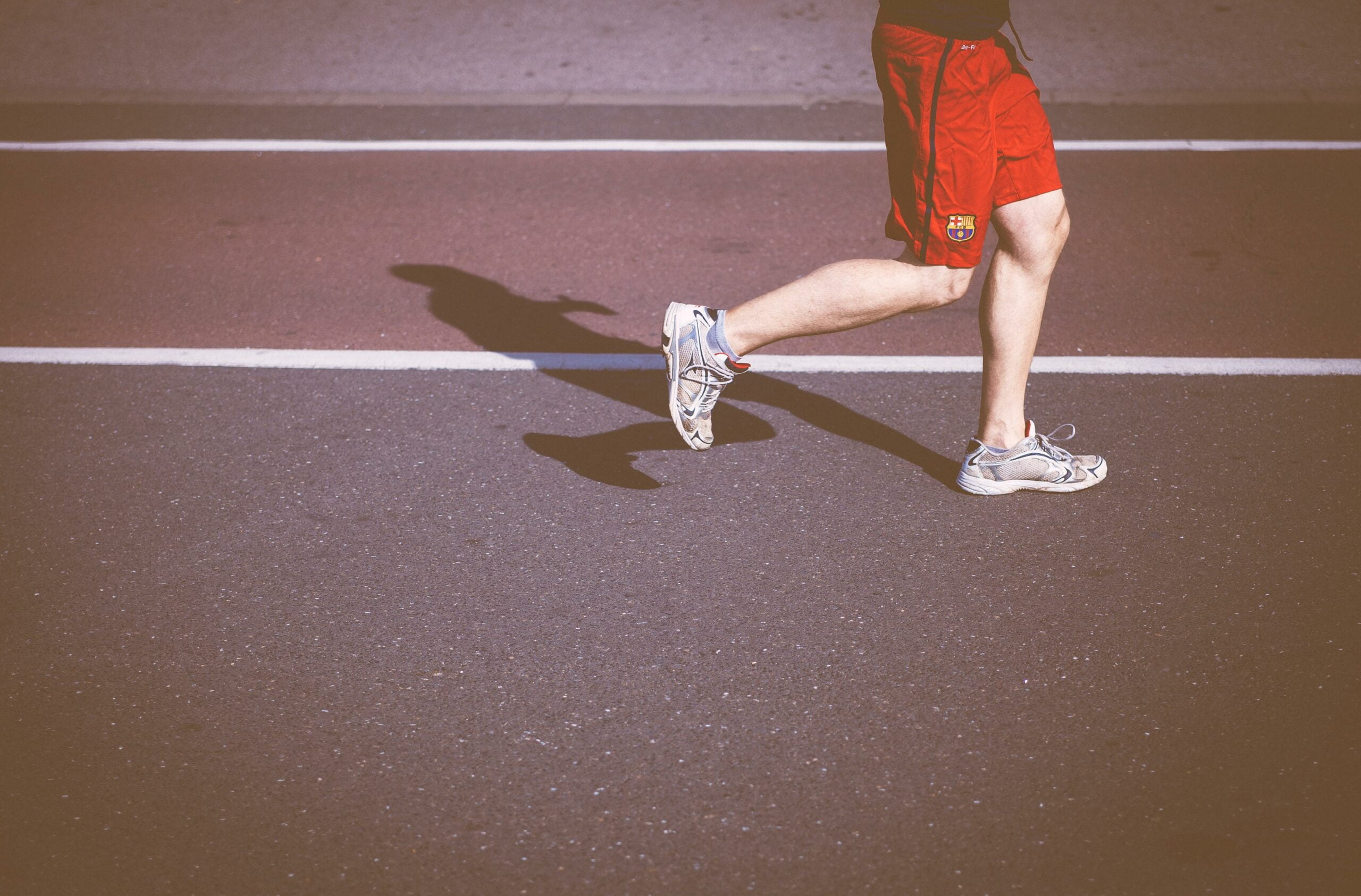 3 facts about tendons