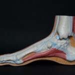 3-facts-about-tendons_featured