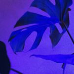 3-interesting-facts-about-audiologists_featured