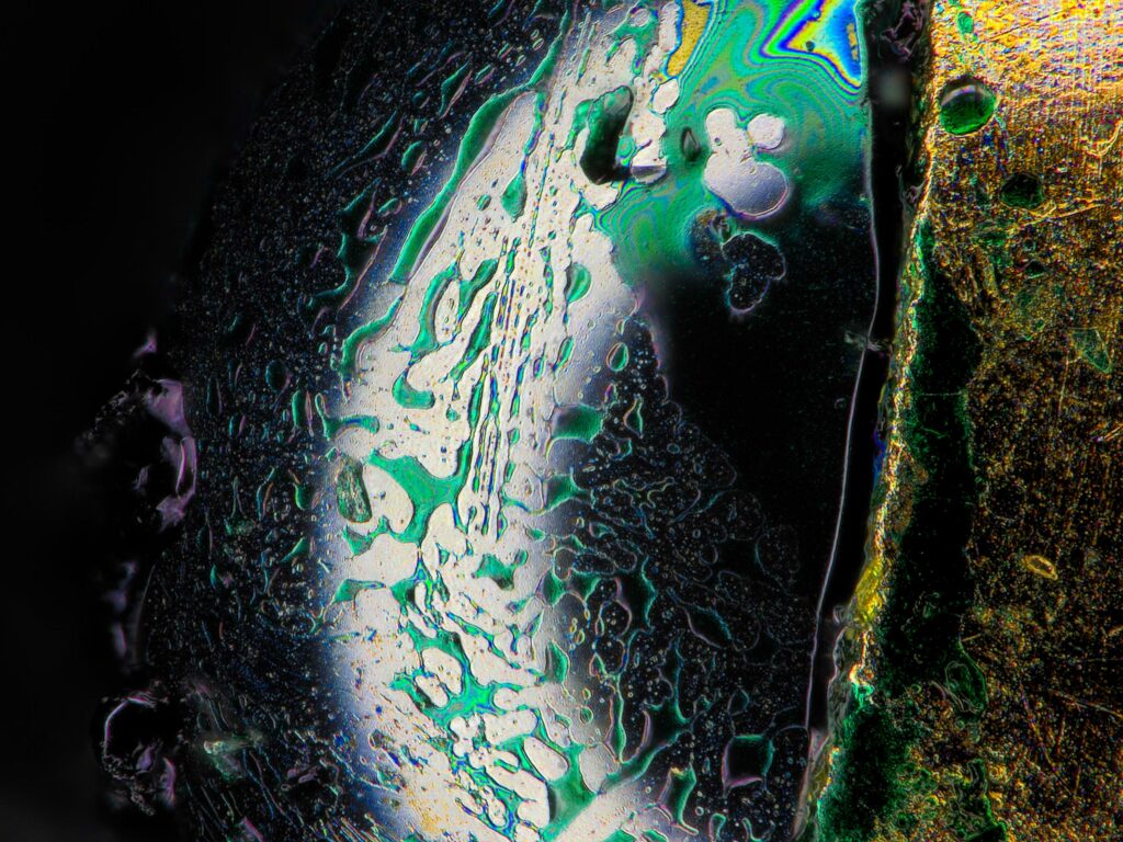 Unlocking the Secrets 5 Fascinating Facts About Microscopes