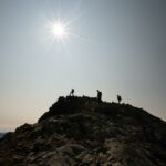 5-Interesting-Facts-About-Rock-Climbing_featured