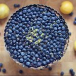 Blueberry-Trivia-Questions_featured