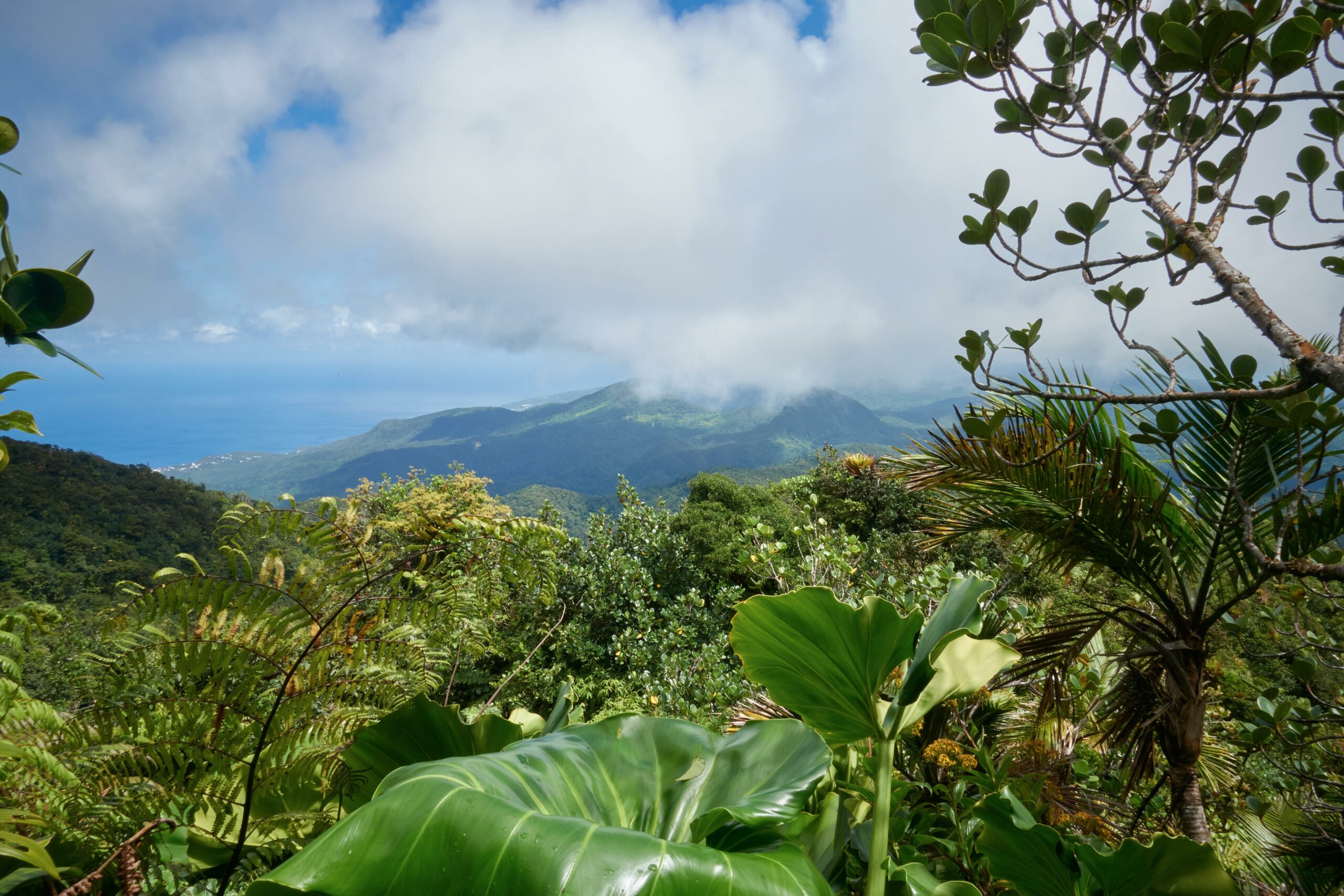 Colonial past of Guadeloupe