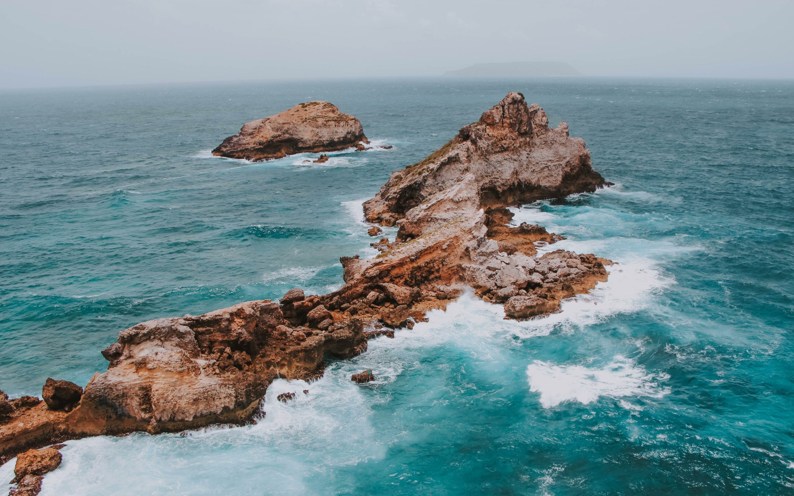 Endangered species in Guadeloupe