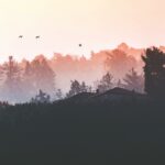Facts-About-Landscape-Architecture_featured