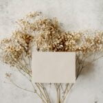 Nine-Facts-About-Flowers