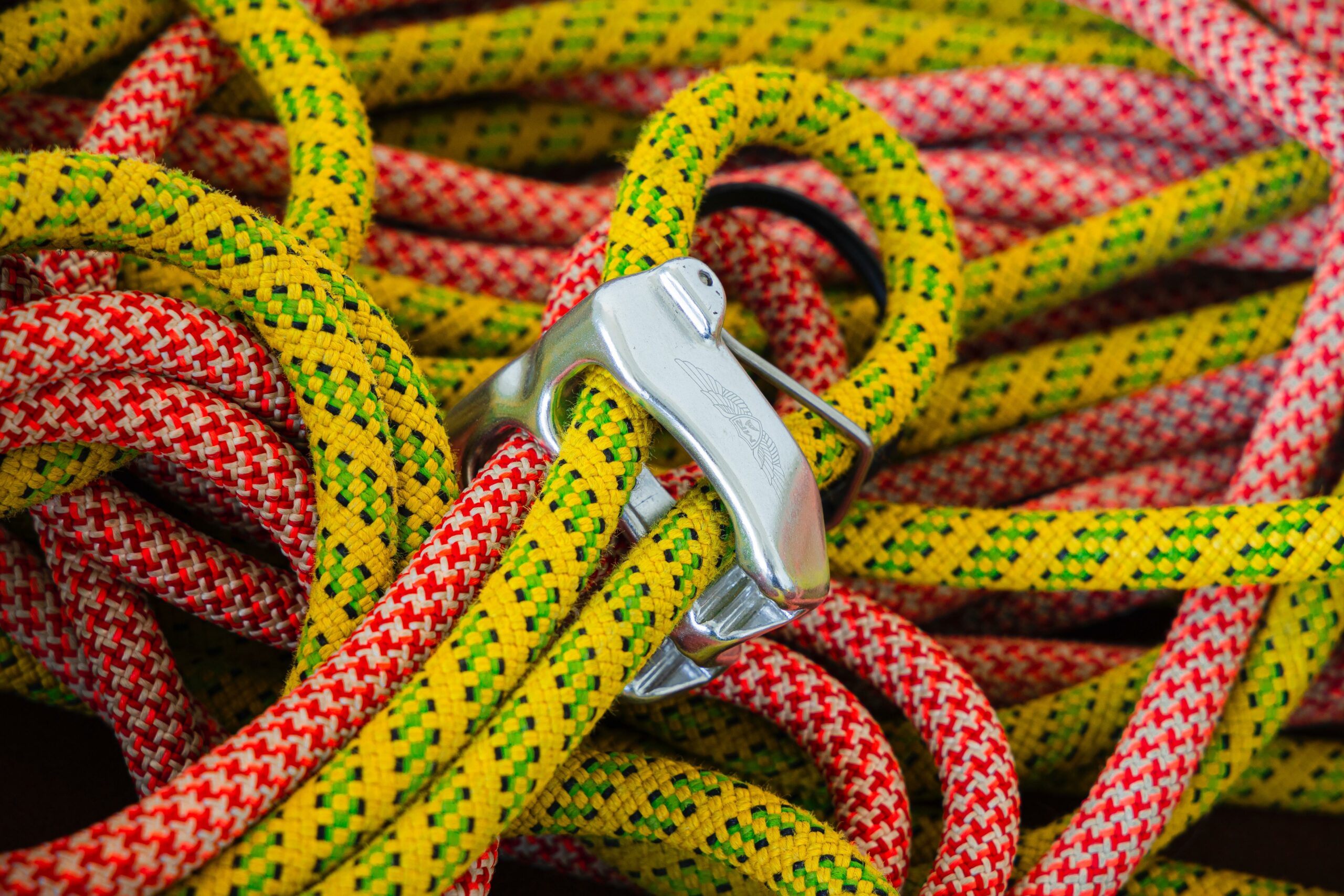 Professional Rock Climbing Organizations