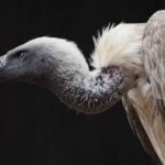 Rehabilitation-interesting-facts_featured