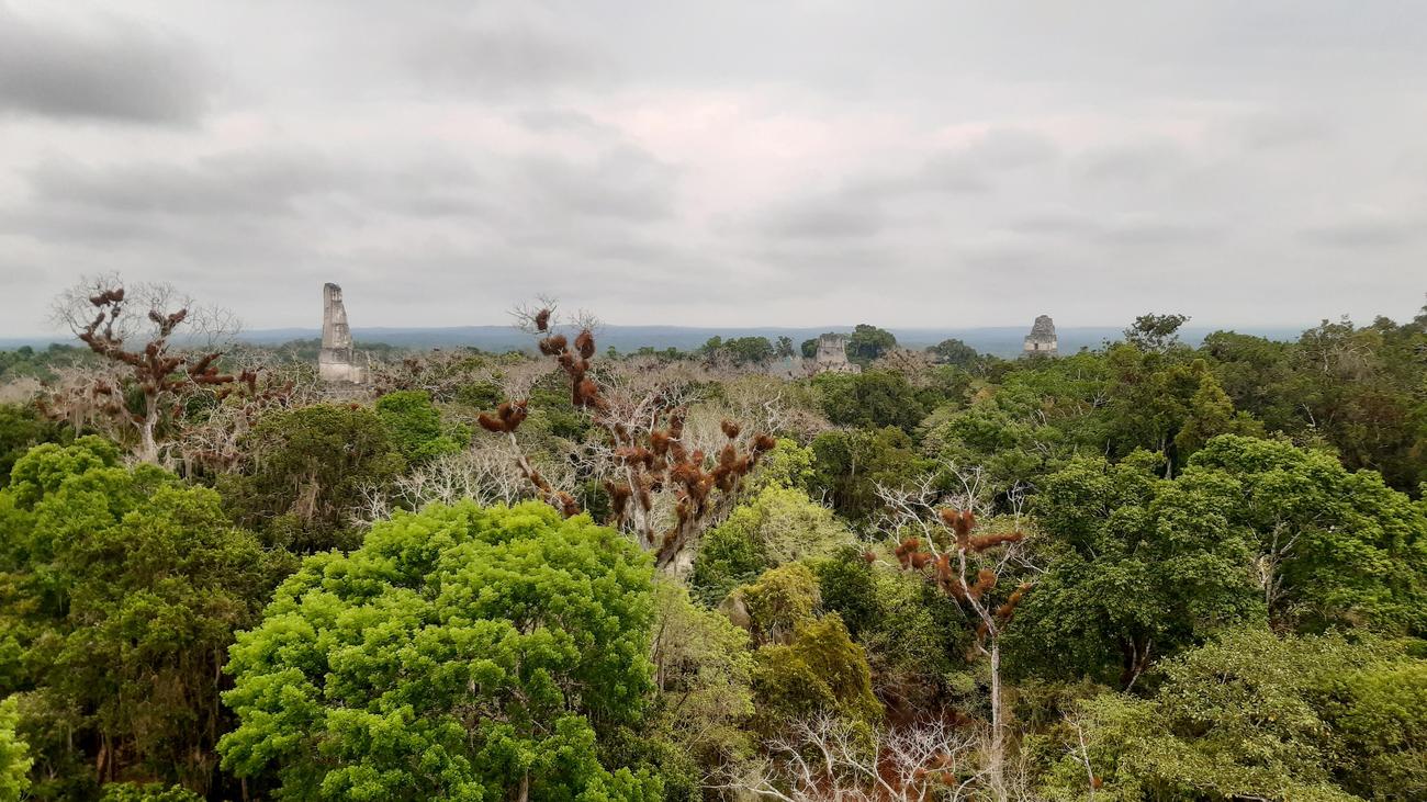 Riviera Maya Fun Facts