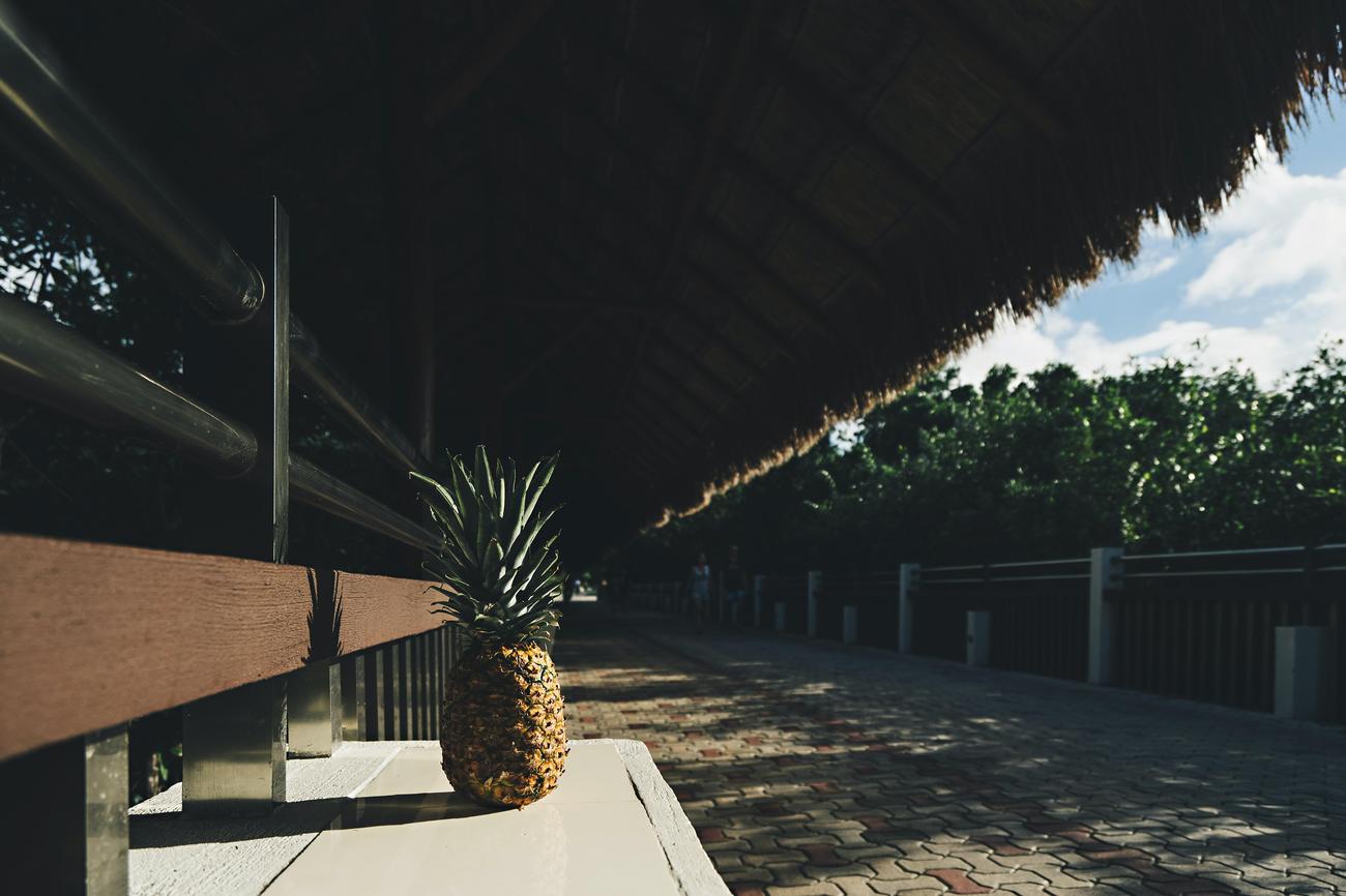 Riviera Maya fascinating facts