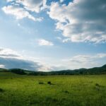 Scary-Facts-About-Hungary-Food_featured