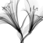 Sychar-pronunciation-guide_featured