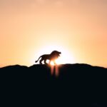 The-Lion-King-Musical-Trivia_featured