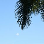 Waxing-Trivia_featured