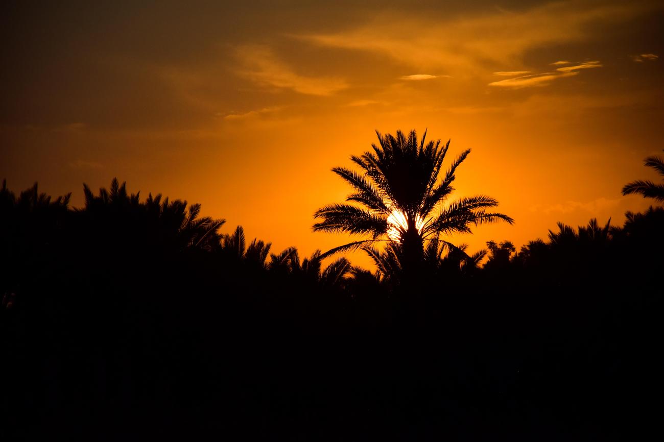 What Are 5 Facts About Iraq