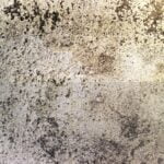 Why-Is-The-Rosetta-Stone-Important
