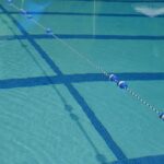 amazing-facts-about-swimming-for-kids_featured