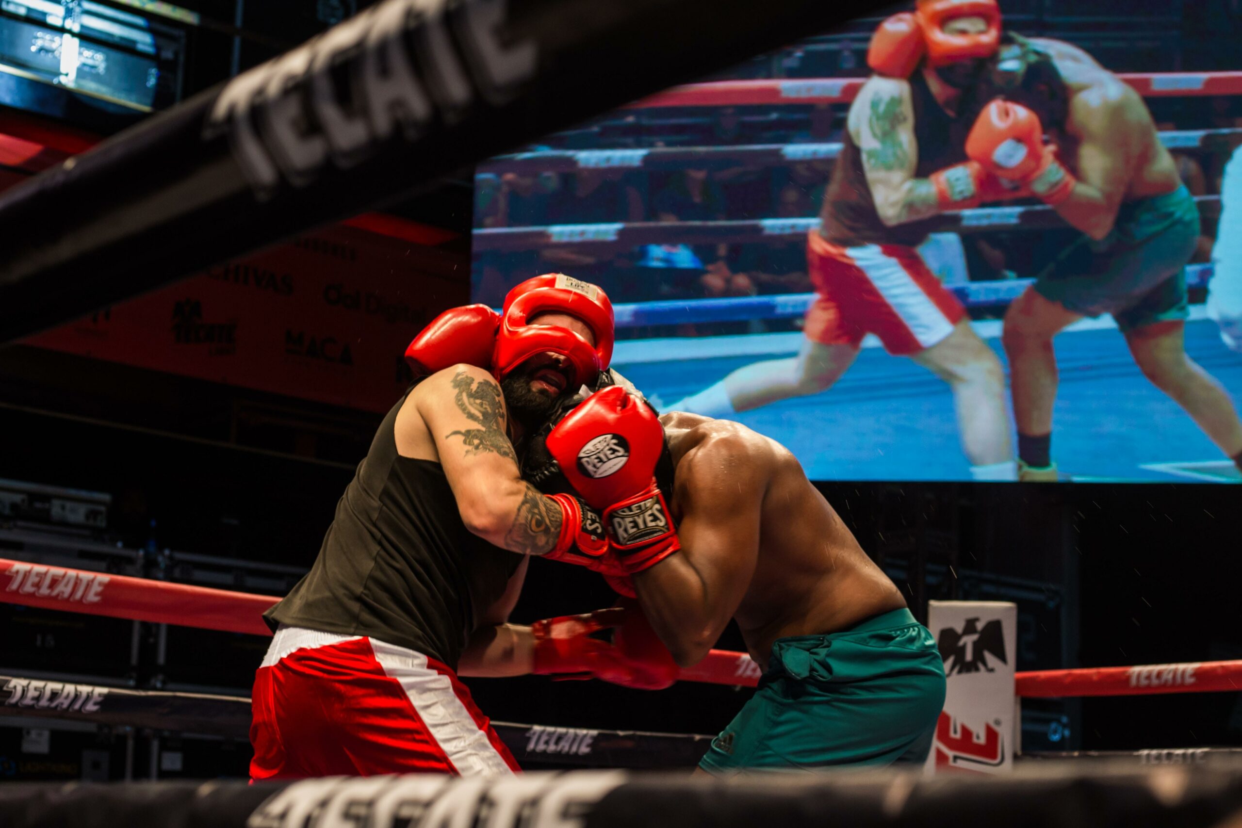 boxing statistics and facts