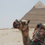 characteristics-of-Egyptian-men-in-relationships_featured