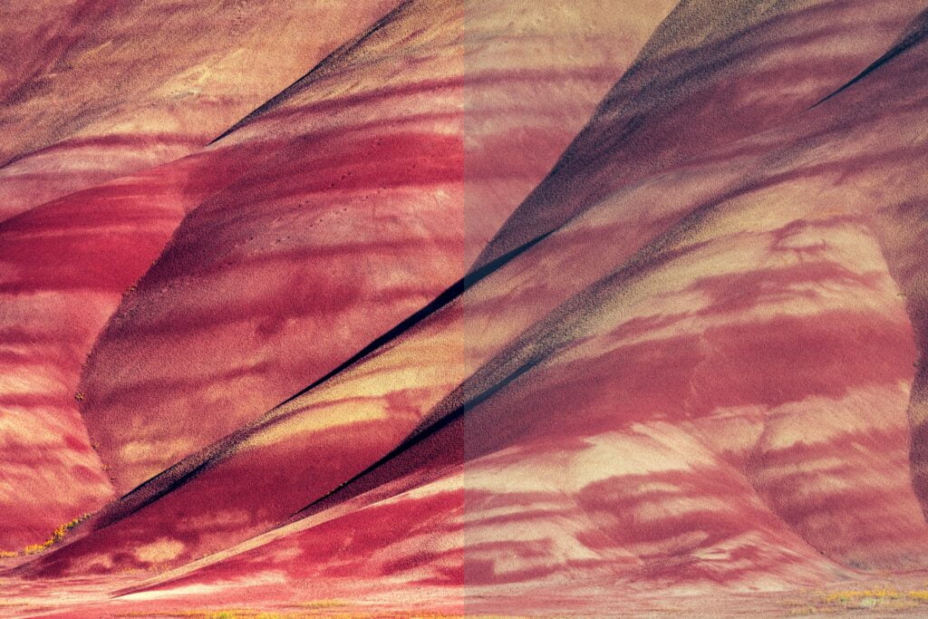 Decoding Ancient History Paleontological Data Interpretation Unveiled