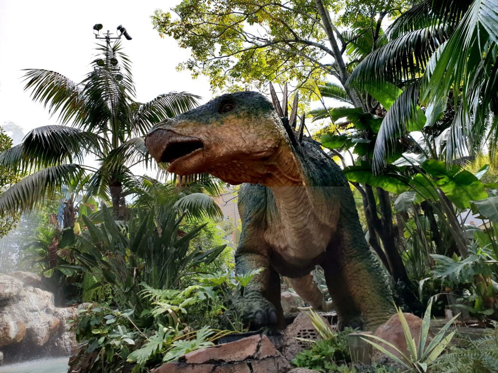 Discover Fascinating Fossil Facts and Dinosaurs