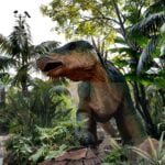 facts-about-fossils-and-dinosaurs