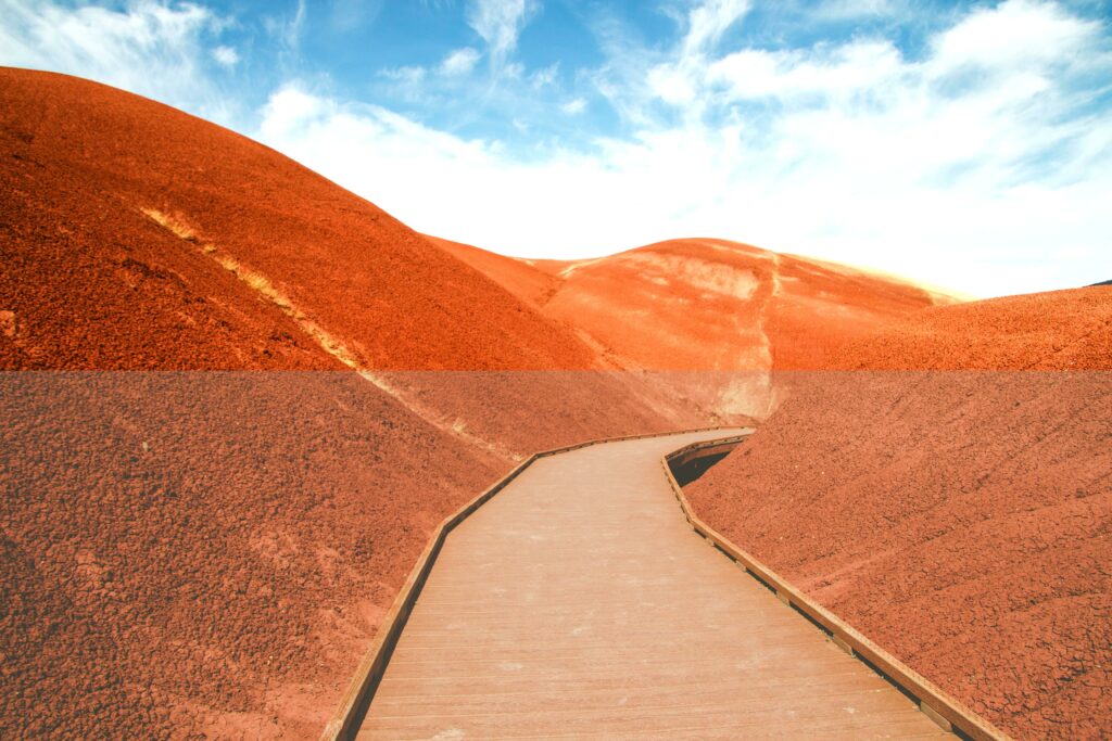 Exploring Fossils Fascinating KS2 Facts Unveiled!
