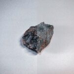 facts-about-fossils-wikipedia