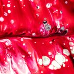 facts-about-partial-dentures_featured