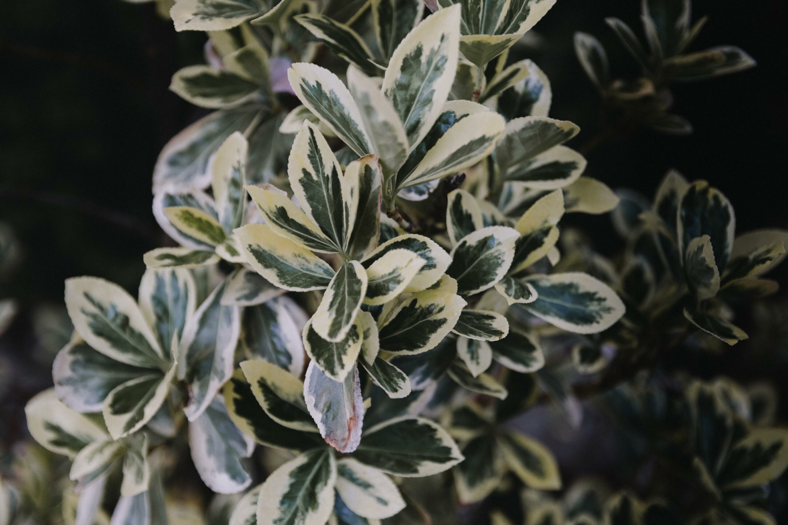 facts about the landscaping industry