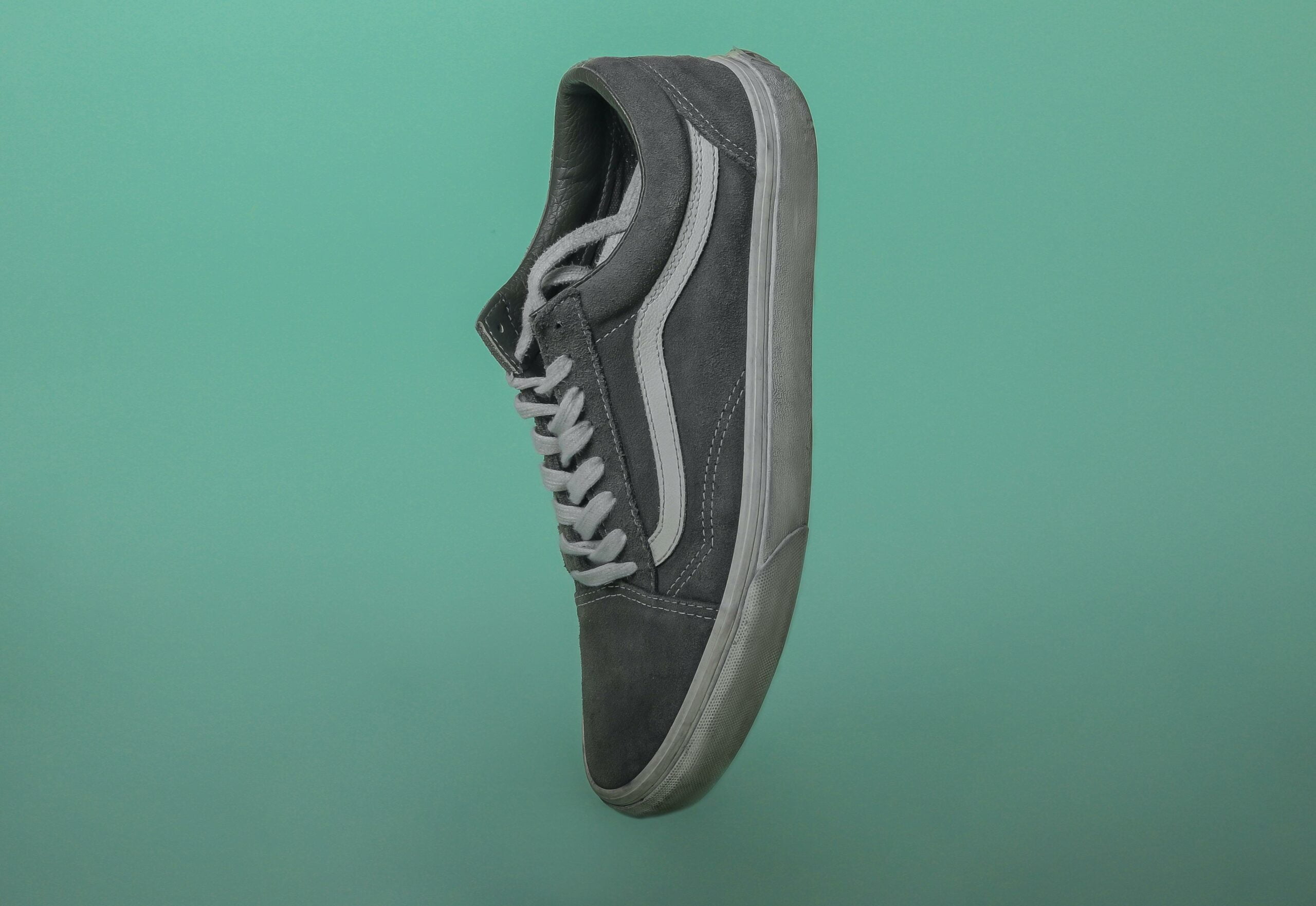 facts turkish vans