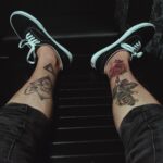 facts-turkish-vans_featured