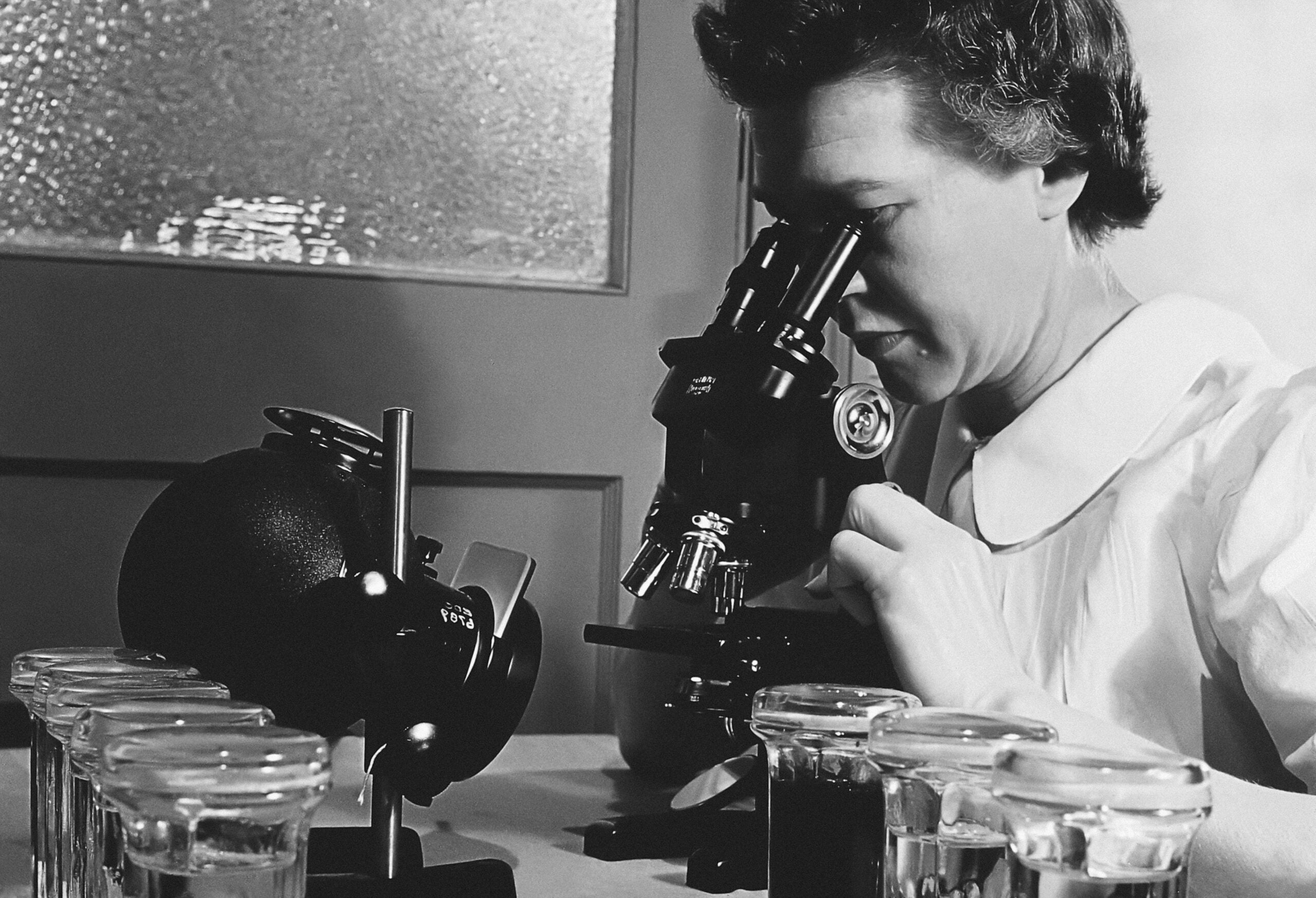 fascinating history of microscope invention