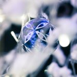 fascinating-sapphire-facts_featured