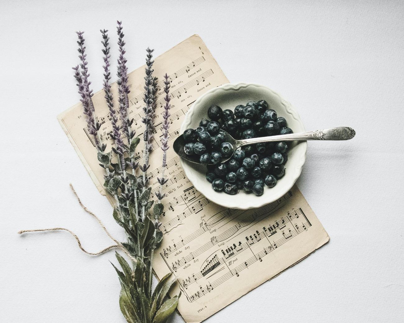 fun facts about blueberries and strawberries