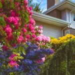 fun-facts-about-landscaping_featured