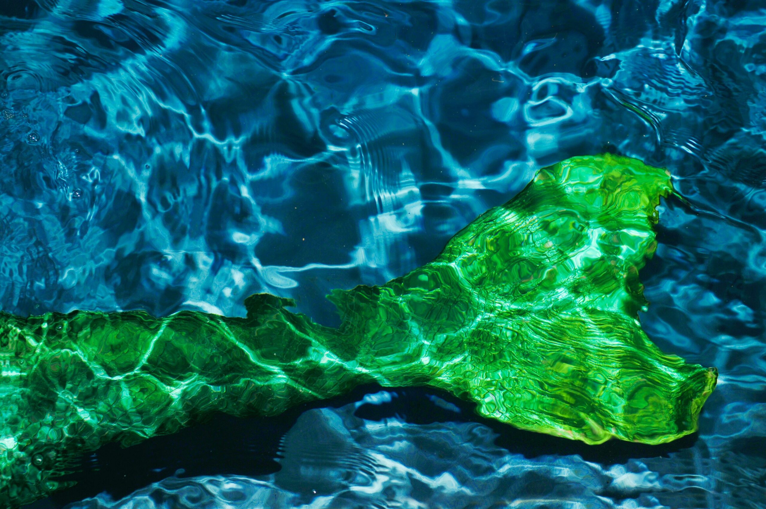 fun facts about the little mermaid on broadway