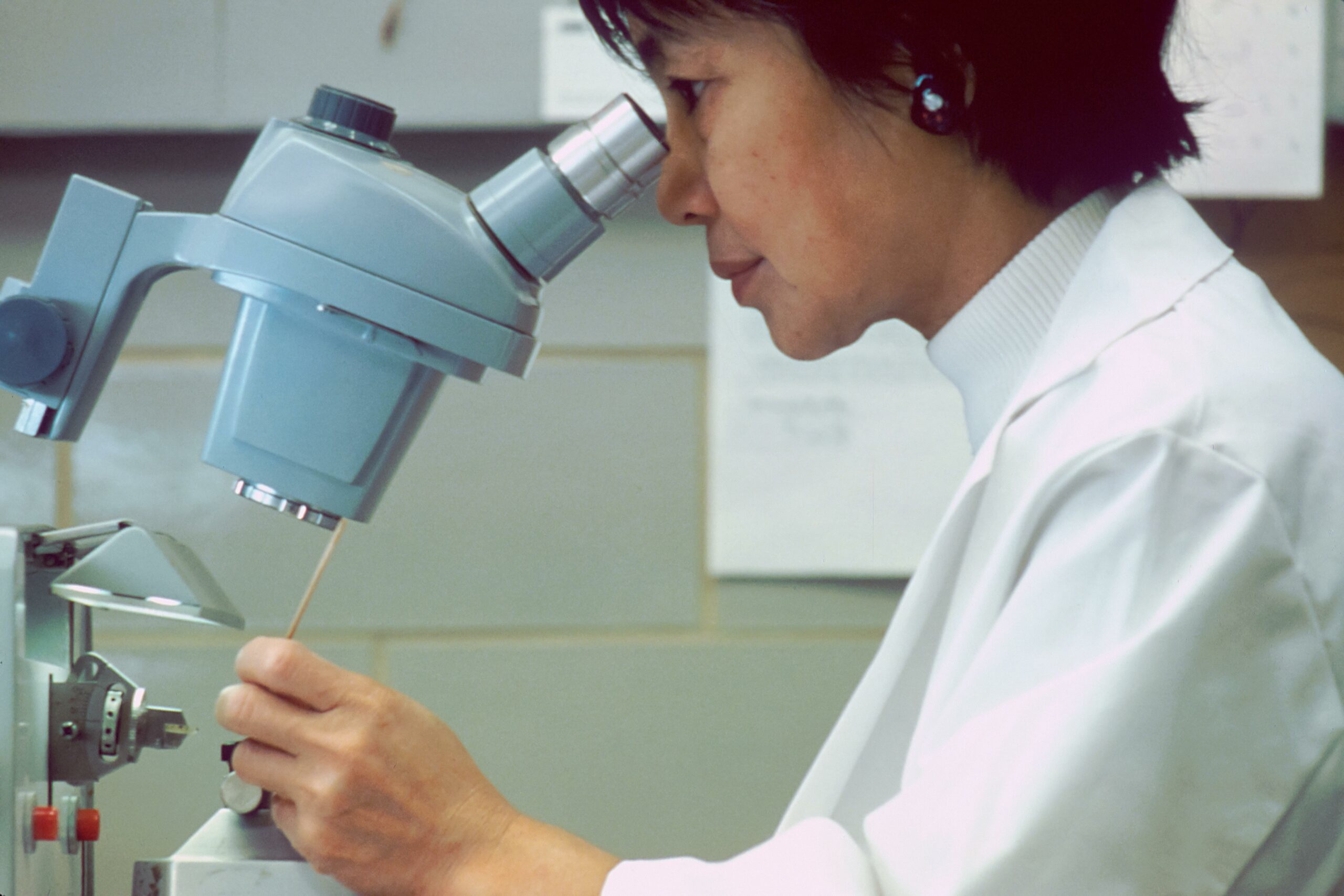 fun facts about the microscope