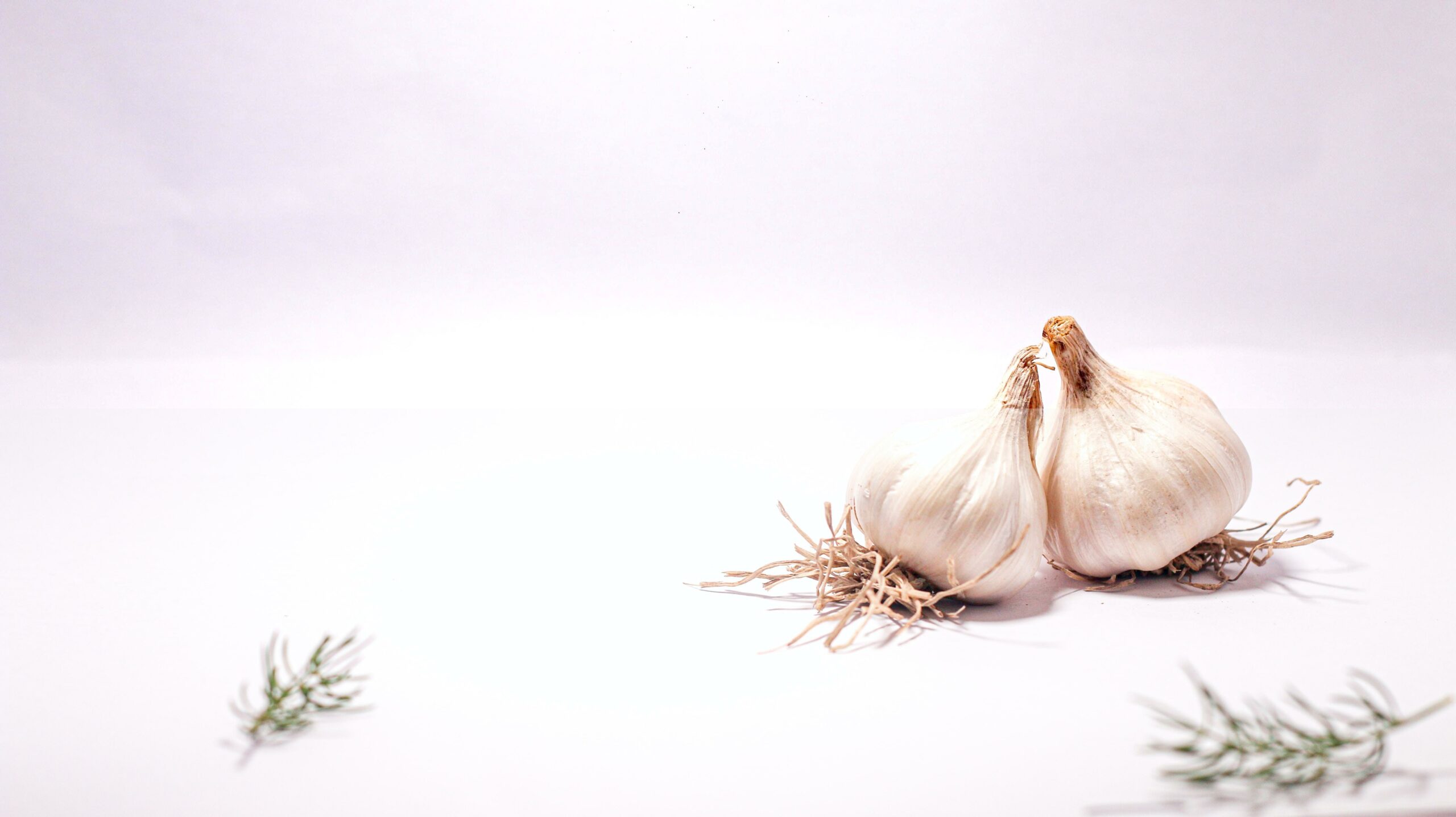 glass onion fun facts