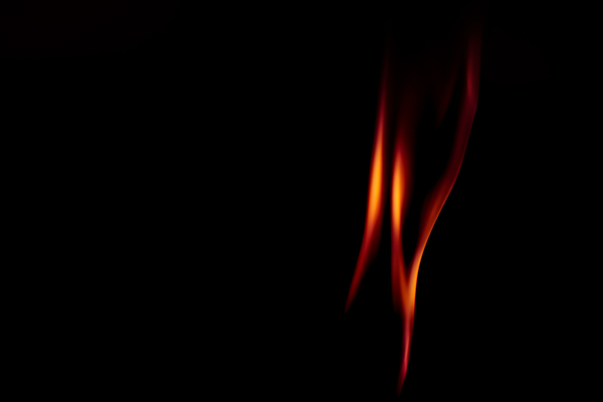 importance of caring for tendons