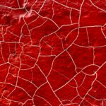 importance-of-caring-for-tendons_featured