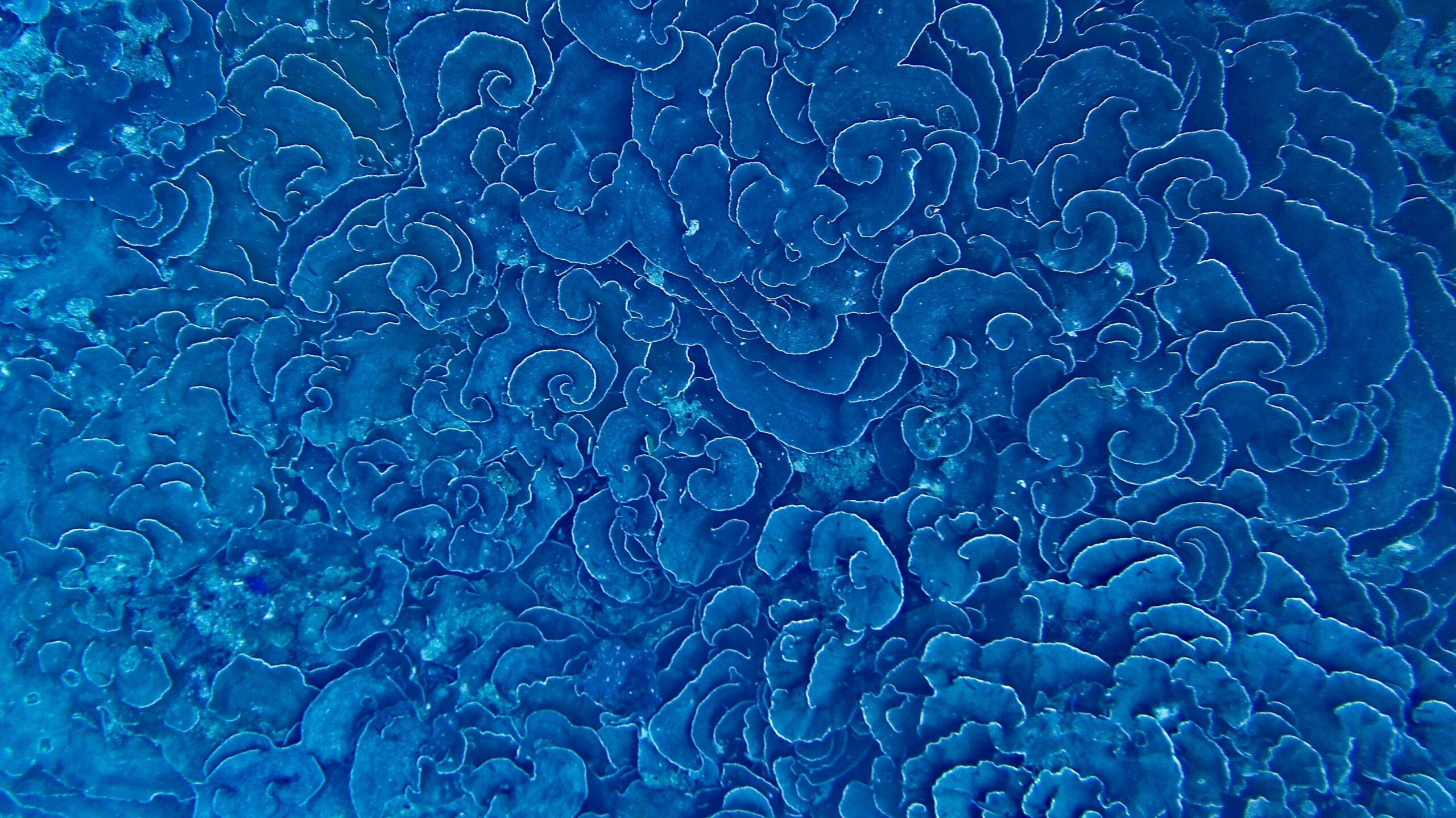 indigo color significance