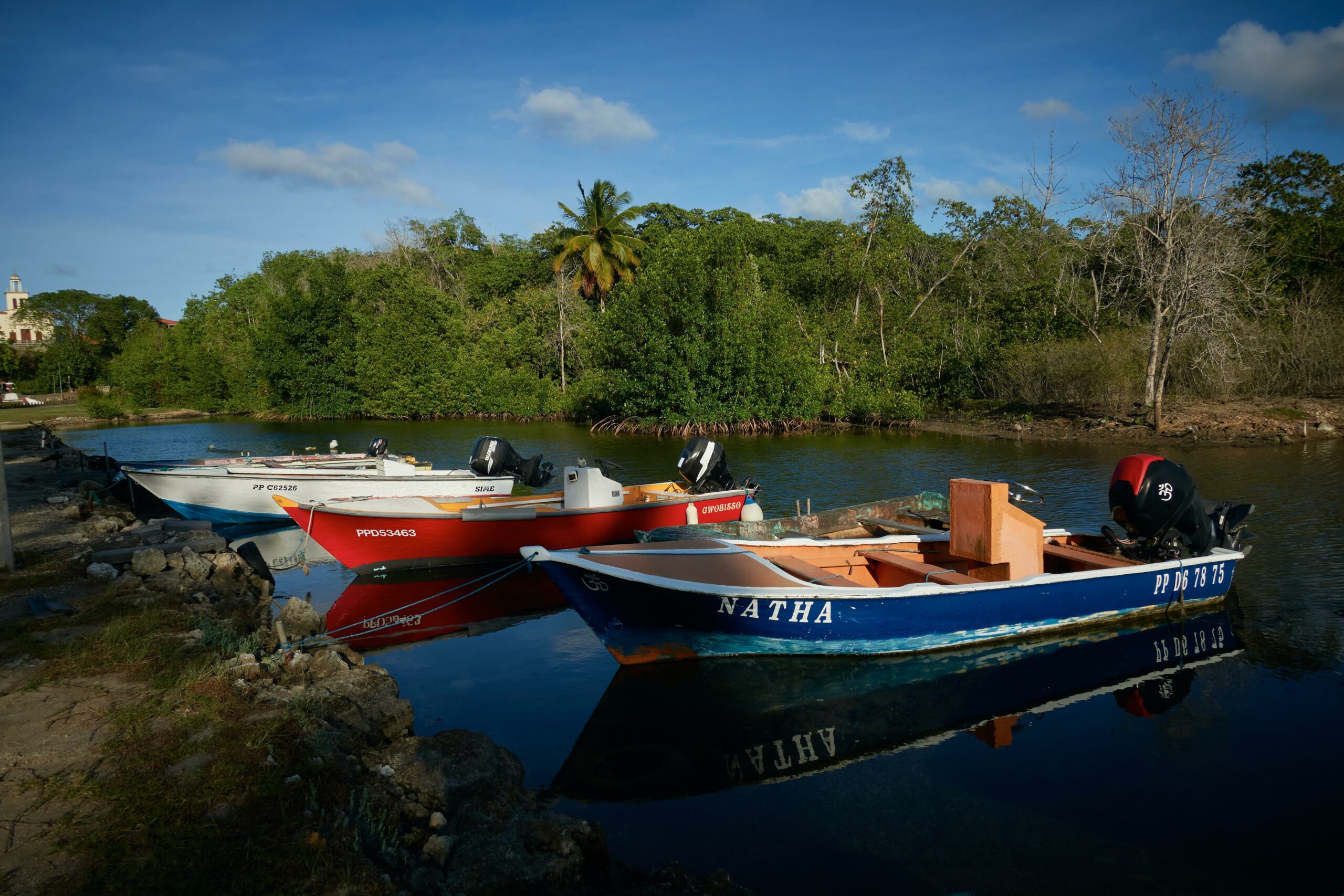 interesting facts about guadeloupe