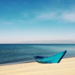 interesting-facts-about-landscape-architecture_featured