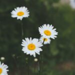 interesting-facts-about-landscaping-industry_featured