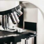 interesting-facts-stereo-microscope_featured