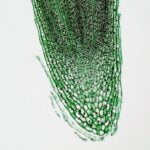 intricate-world-of-microscopy_featured