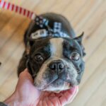 kid-friendly-Omaha-fun-facts_featured