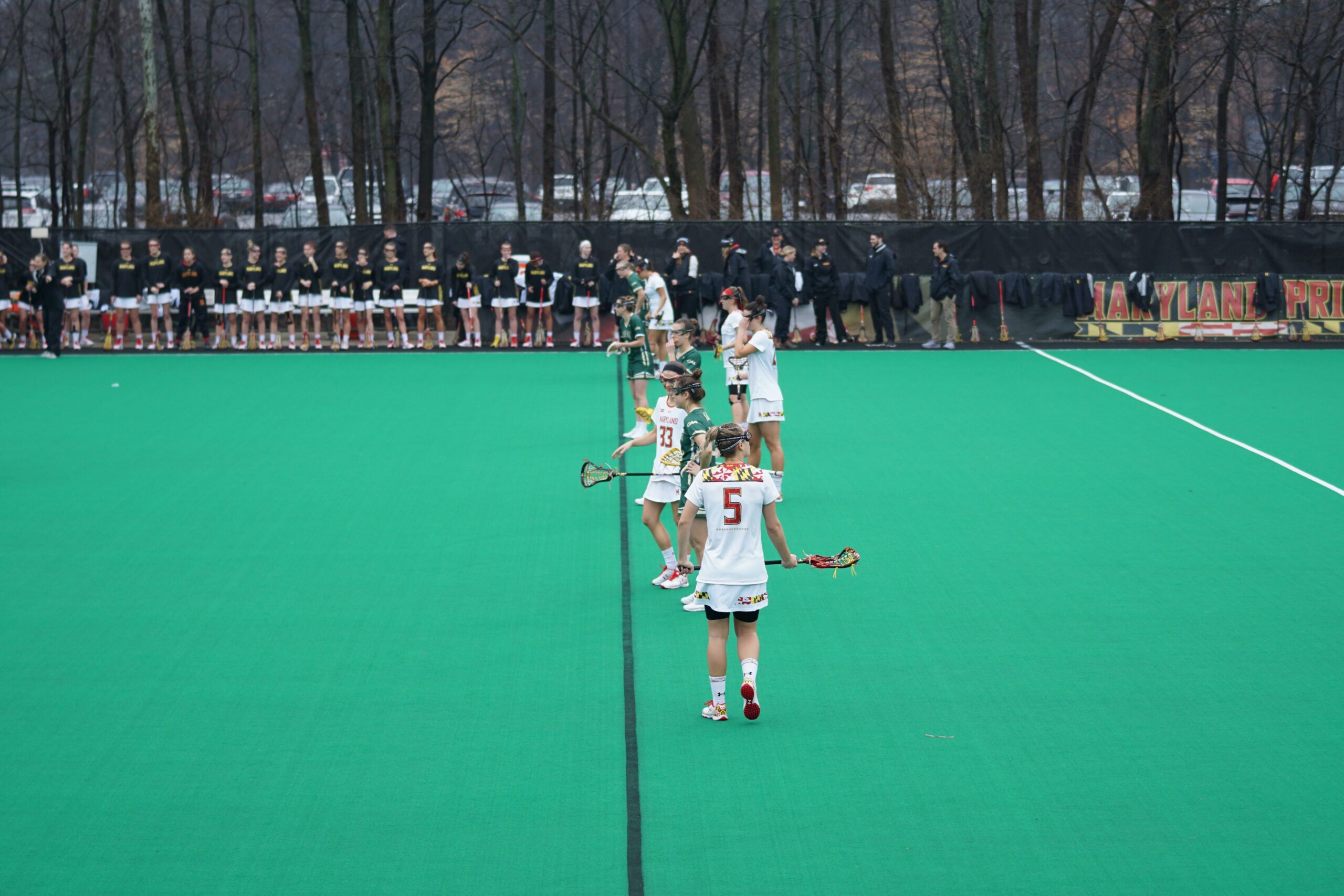 lacrosse in canada